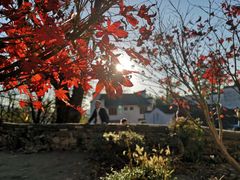 -塔川景区