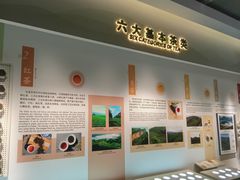 -中国茶叶博物馆(双峰馆区)