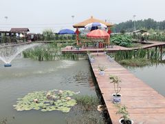 -同銮特种养殖场·龙虾垂钓