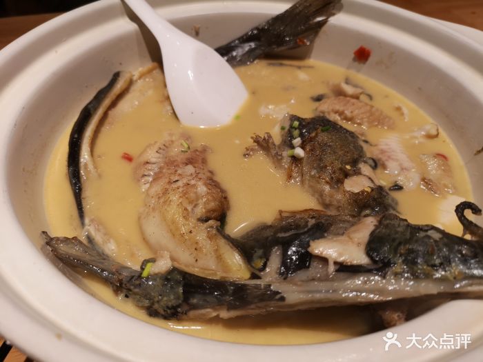 三湘鮰头鱼鮰头鱼图片 - 第162张