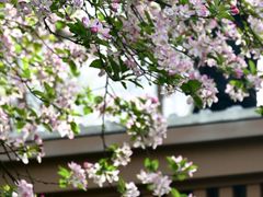 -木塔寺遗址生态公园