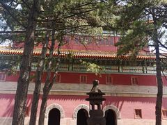-磬锤峰森林公园