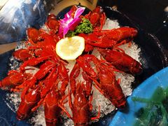 冰镇小龙虾-潮三爷砂锅焗海鲜·生腌·海鲜粥(朝晖店)