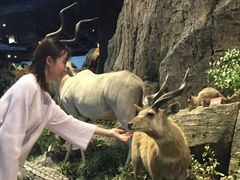 -陕西自然博物馆