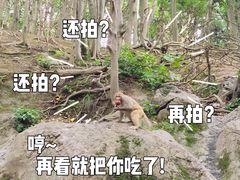 -黔灵山公园