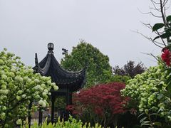 -枫桥景区