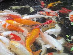 -聚福宝合苑食府(南头镇店)