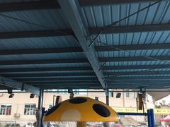 -福建省奥林匹克体育中心游泳馆