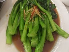 -金熊猫川菜餐厅
