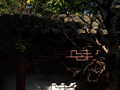 -秋霞圃