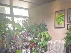 -棕榈岛海鲜自助餐厅(虹桥迎宾馆店)