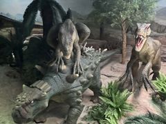 -国家自然博物馆