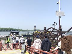 -溱湖国家湿地公园