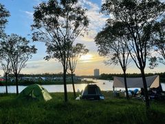 -春花秋色城市公园