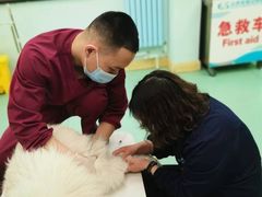 -北京观赏动物医院·24小时大型综合·猫专科·异宠专科