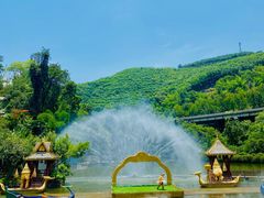 -西双版纳原始森林公园