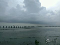 -宝安西湾红树林湿地公园