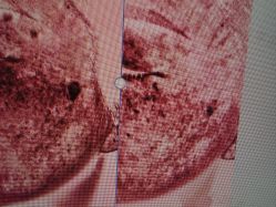 -和颜一美轻医美连锁