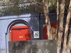 -张掖大佛寺景区