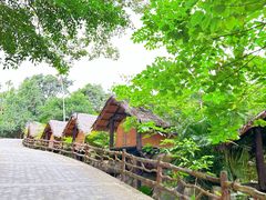 -海南槟榔谷黎苗文化旅游区