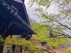 -大慈岩风景区