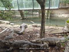-常州淹城野生动物世界