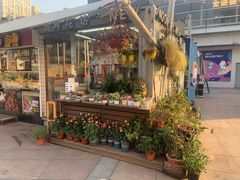 -证大大拇指广场(芳甸路店)