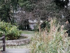 -成都市活水公园