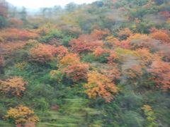 -青峰峡国家森林公园