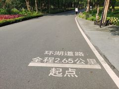 -海珠湖公园