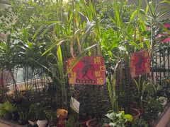 -花好悦园酒家(大石店)