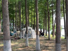 -滆湖低碳生态公园