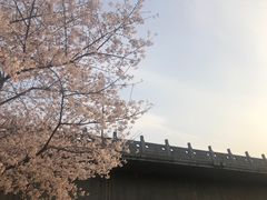 -运河游船(武林门码头)