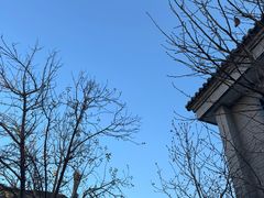 -秋果四合院酒店(北京王府井协和医院店)