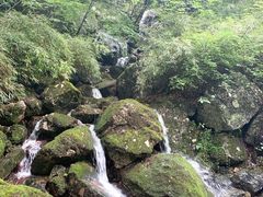 -牛背梁国家森林公园