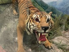 -国家自然博物馆