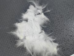 -1013 PET SHOP 宠物商店(近铁城市广场店)