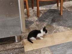 -晓马鸭店(新芜路店)