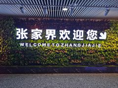 -张家界荷花国际机场