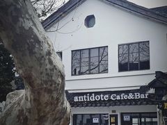 -解药·antidote Cafe&Bar