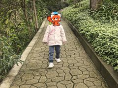 -南山植物园