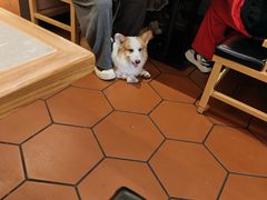 -大碗先生(方圆荟店)