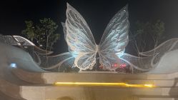 -宁波华侨温德姆至尊豪廷大酒店·宴会厅