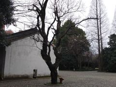 -上海市龙华烈士陵园