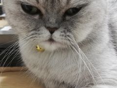 -Oasis绿洲银饰珍珠手作diy(壹方城店)
