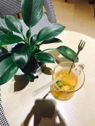 -花尚颜容