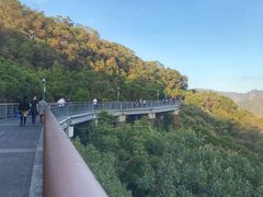 -金鸡山公园