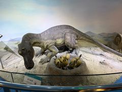 -国家自然博物馆