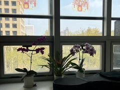 -琴芳艺所艺术培训.古筝钢琴