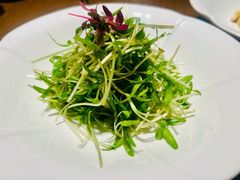 -品味杭州·粤式融合·海鲜小馆·钱江新城CBD